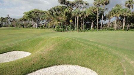 campo pratica tiger woods