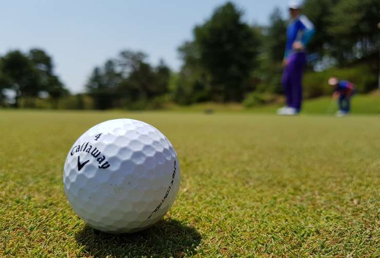 Video canguri invadono il campo da golf