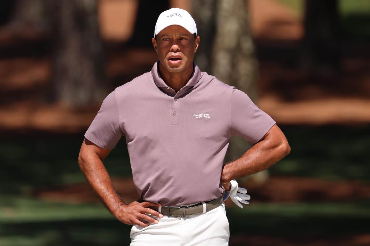 Crollo Tiger Woods