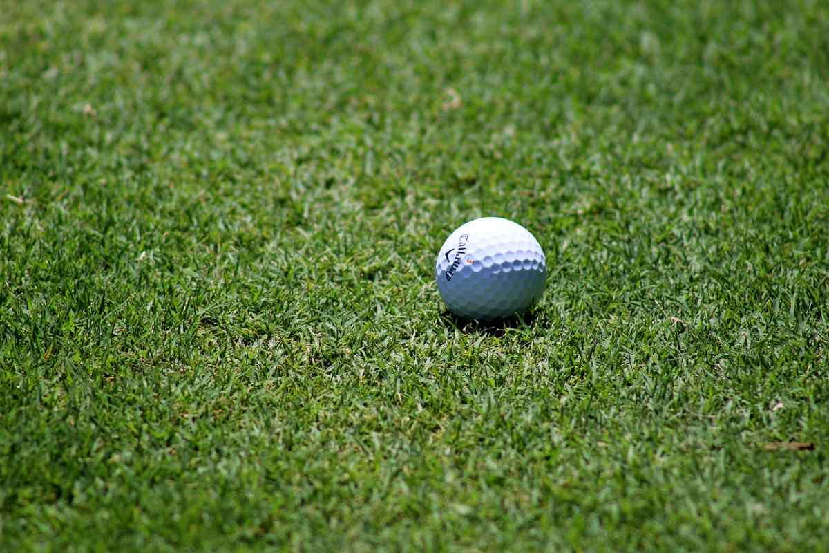 golf pallina