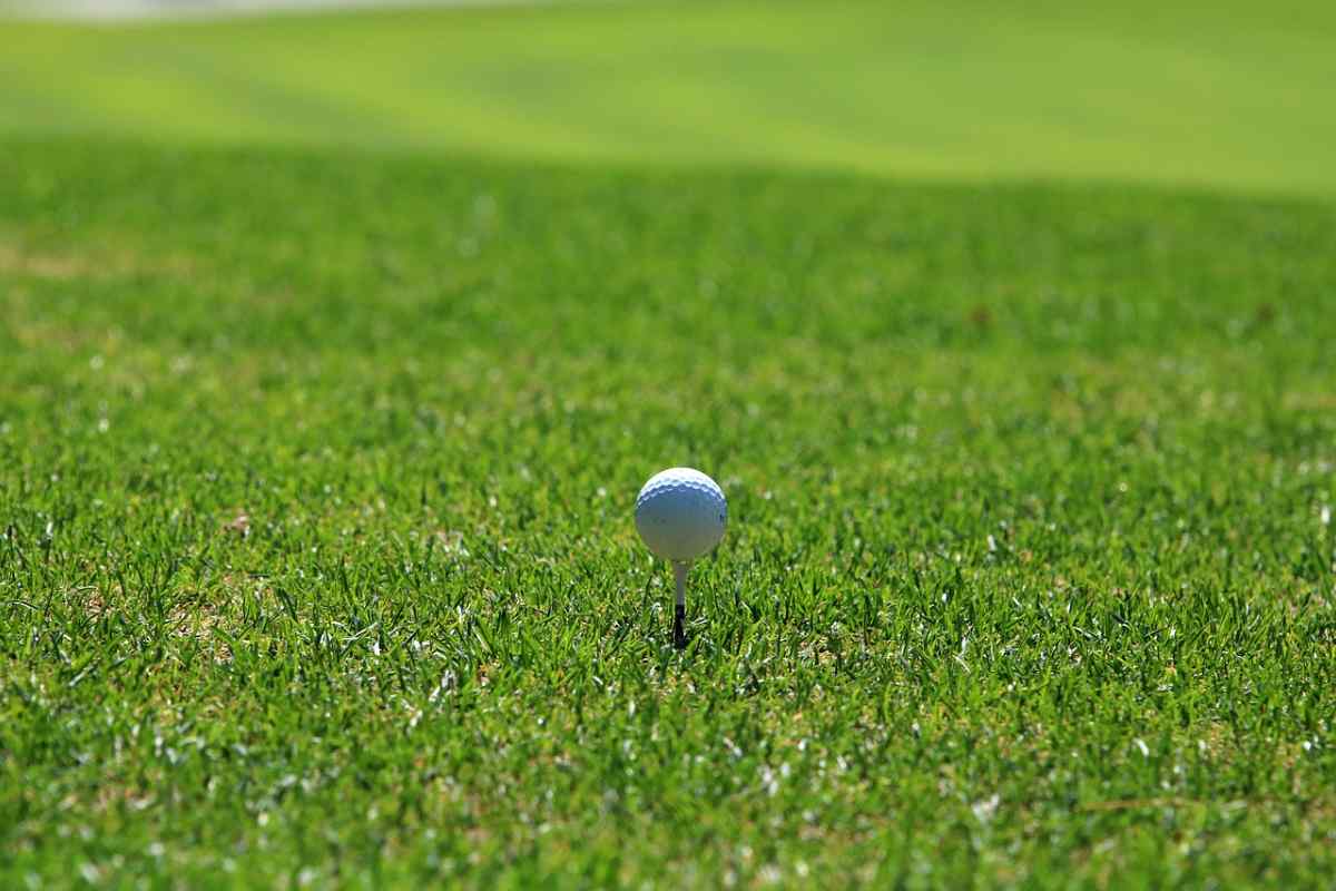 pallina da golf