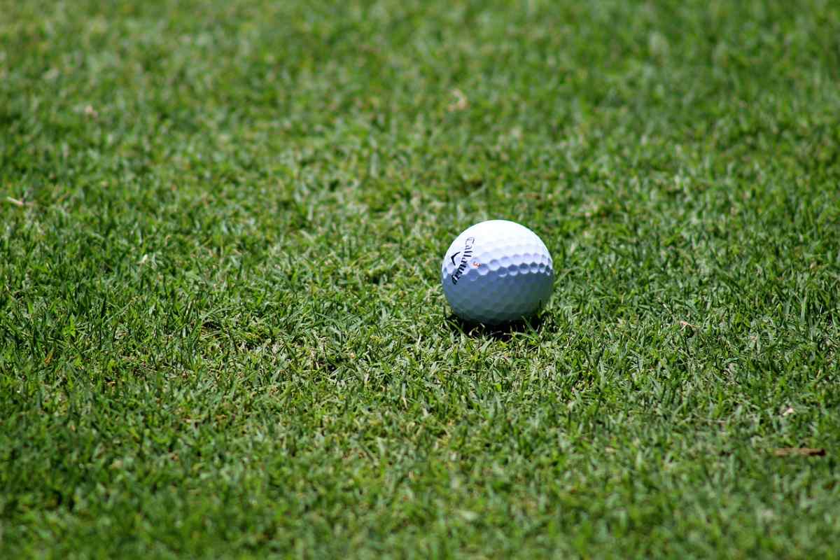 pallina golf