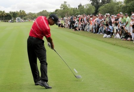 tiger woods golf swing